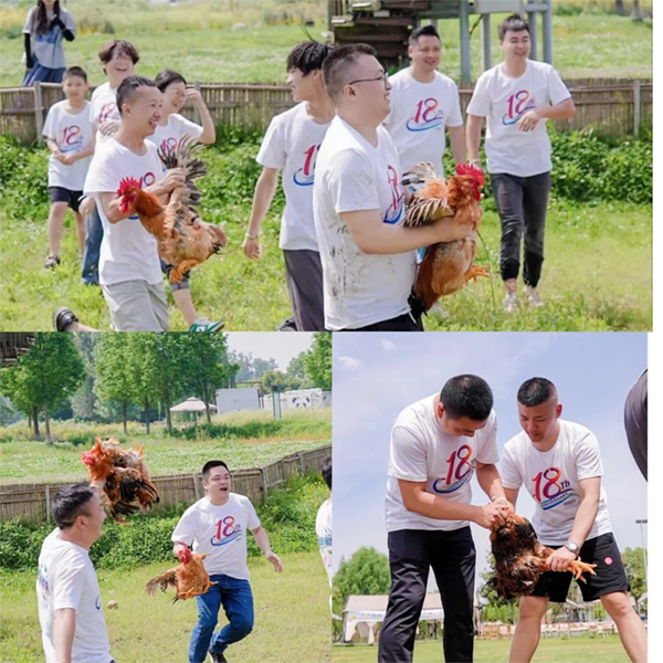 抓雞大作戰(zhàn)?